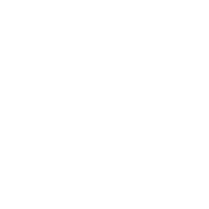 Fluxus logo